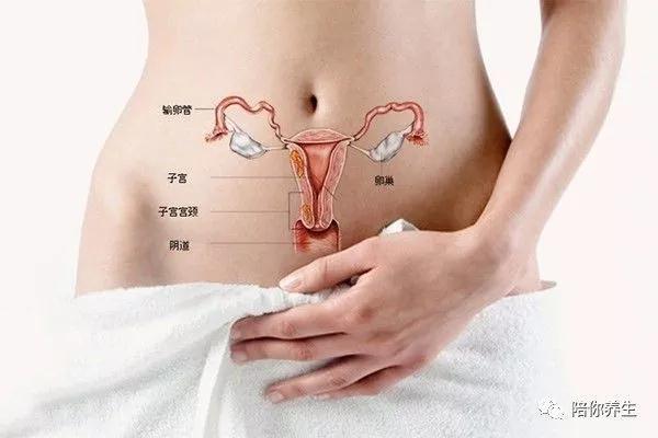子宫后位对月经有影响吗？了解子宫后位对月经的影响(1)