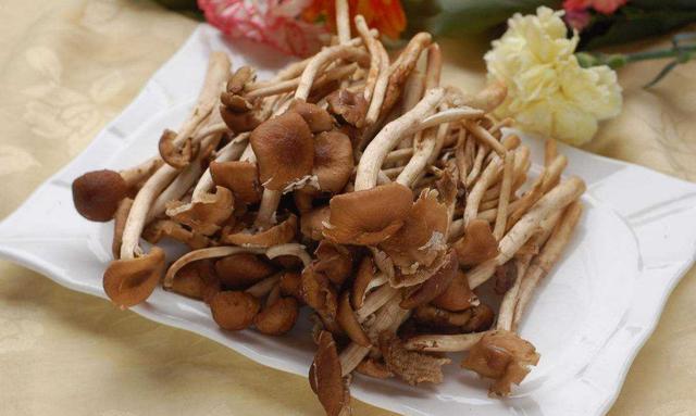 茶树菇炒菜的做法大全，让你轻松掌握多种美味菜品的制作