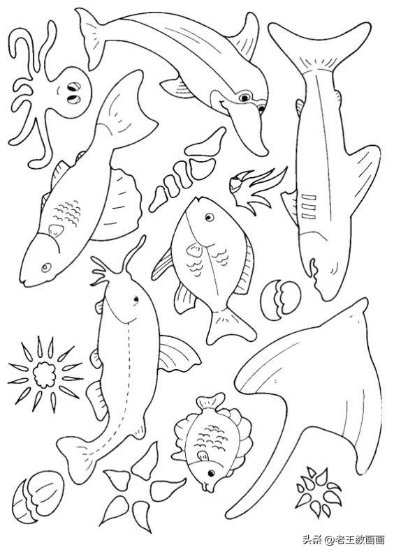 用简笔画绘制海洋动物的方法，动物海洋生物绘画技巧详解