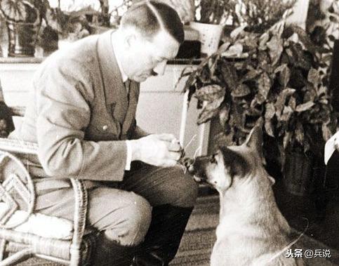 当狗与希特勒同处一室：真实故事揭示人与动物的关系