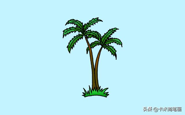 如何画好看的棕榈树？详细教程来啦！
