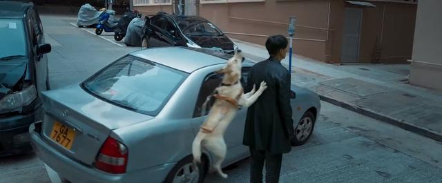 携手导盲犬小q，探秘电影拍摄的过程(1)