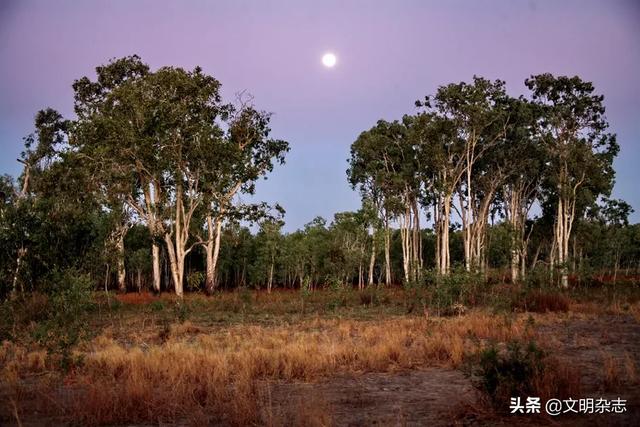 穿越时光之旅：探寻澳大利亚原始部落